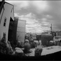 DSCN5679_G_Aicardi-700grey